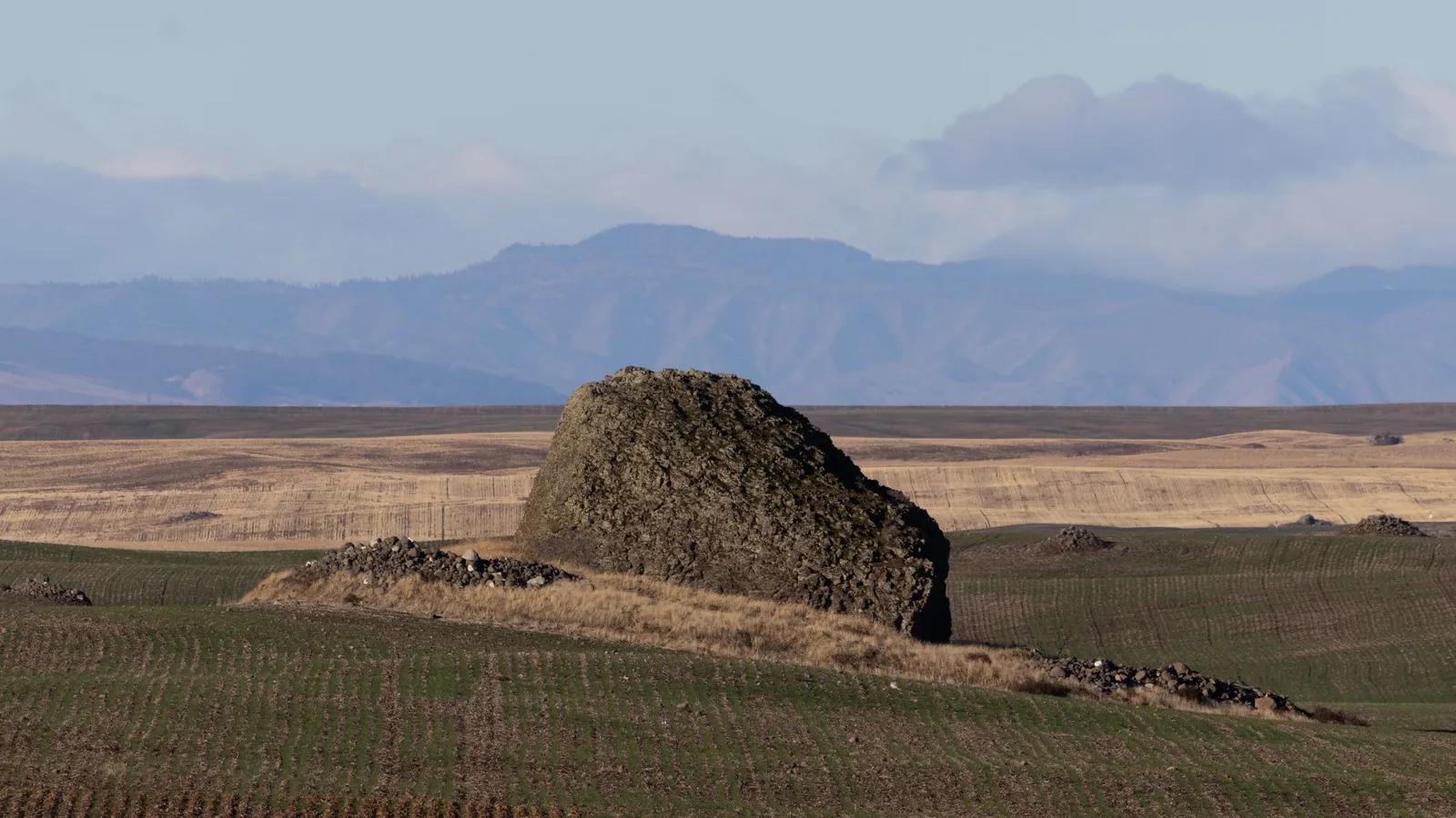 A basalt erratic in the wheat
