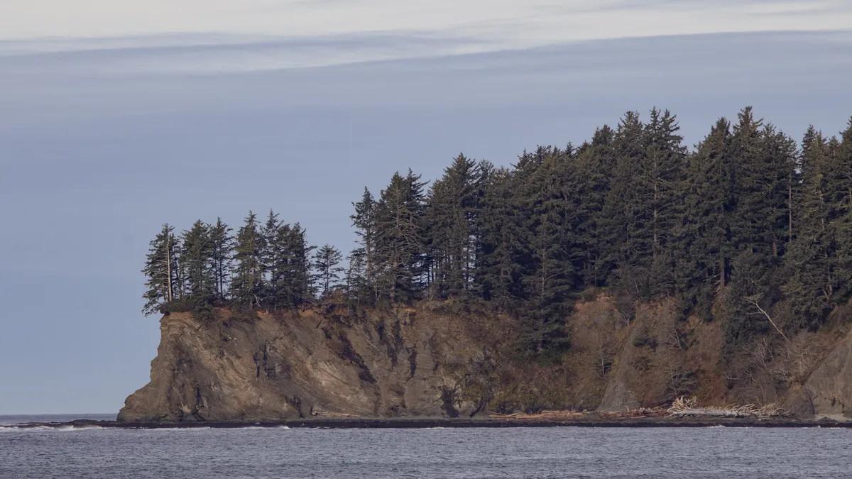 Timber on the headland