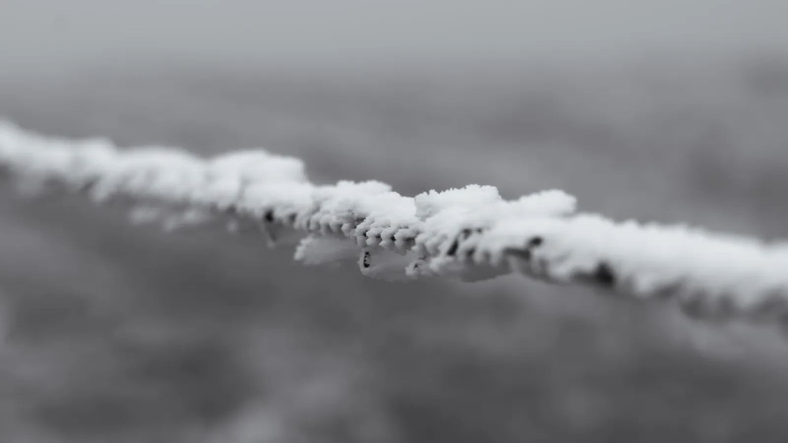 Ice on the wire